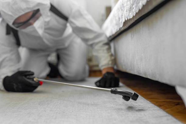 Professional Bed Bug Control technician working in Wink, TX